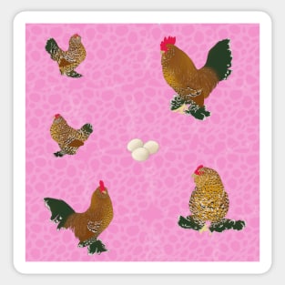 Belgian D'Uccle Pattern Pink Sticker